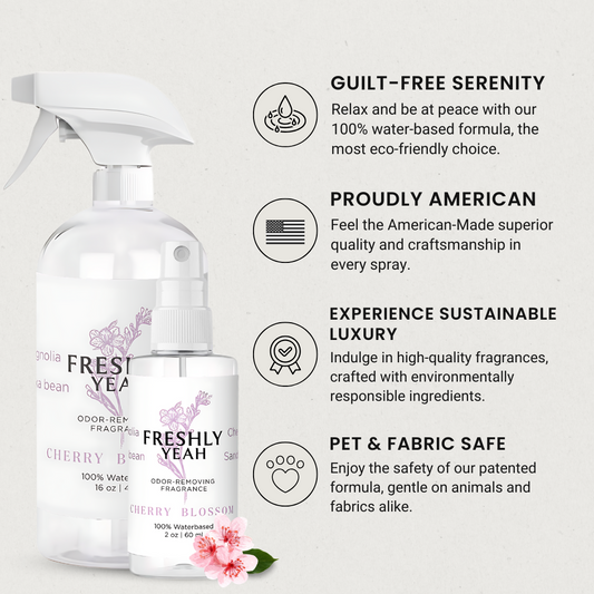 (2 Pack) Premium Room and Fabric Freshener